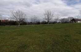 Oportunitate! Teren 700 mp cu casa demolabila, in zona Buna ziua hotel Athos 