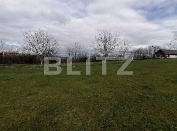 Teren de vânzare Becaş - 64043TV | BLITZ Cluj-Napoca | Poza3