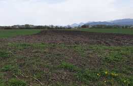 Teren de vanzare Stupini, 10500 mp