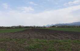 Teren de vanzare Stupini, 10500 mp