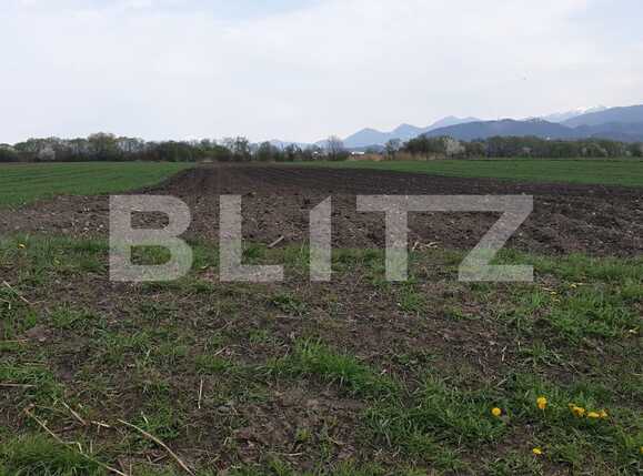 Teren de vânzare Stupini - 64048TV | BLITZ Brașov | Poza2