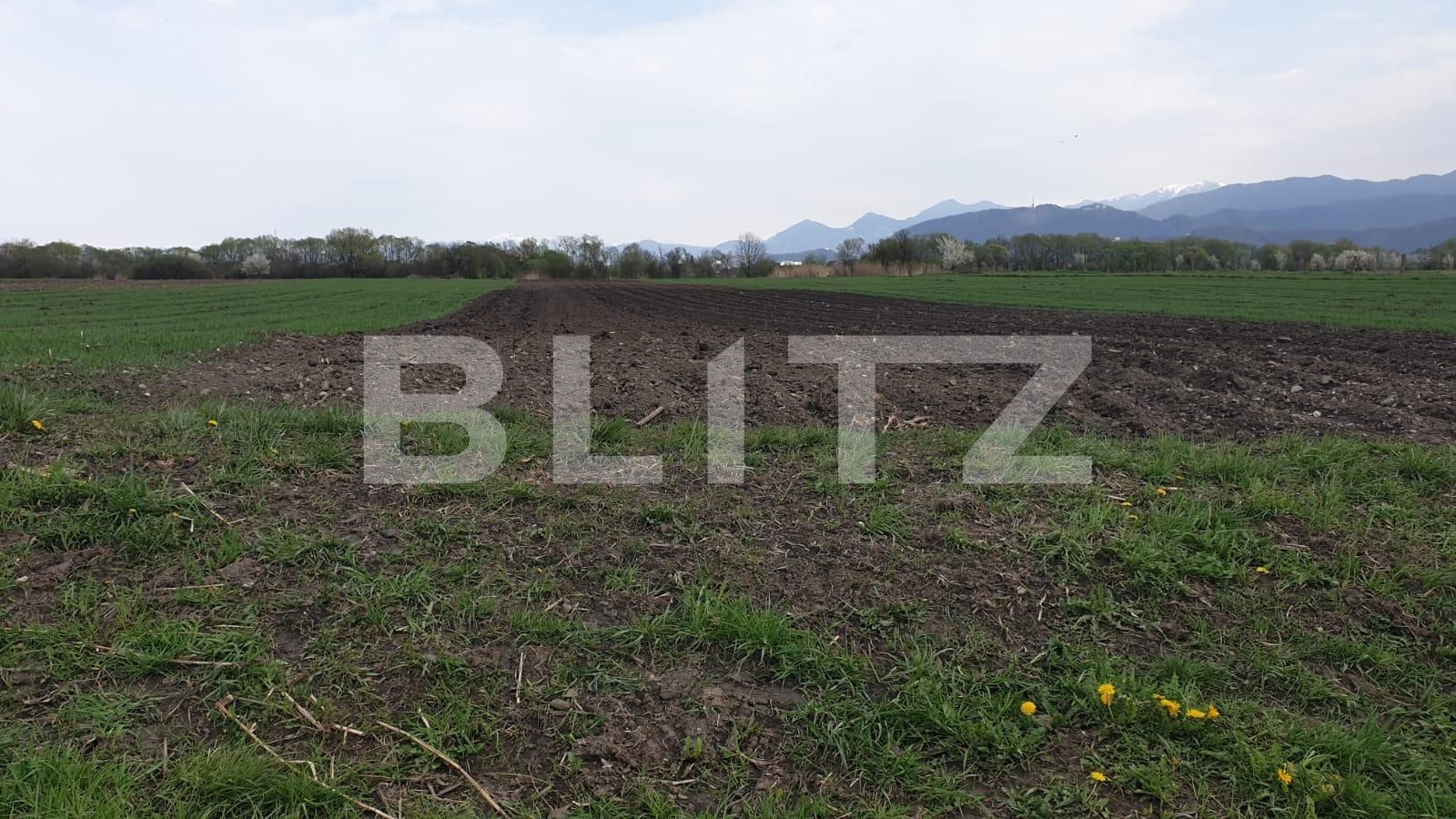 Teren de vânzare Stupini - 64048TV | BLITZ Brașov | Poza2