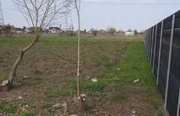 Teren de vanzare Bartolomeu, 8000 mp