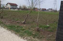 Teren de vanzare Bartolomeu, 8000 mp