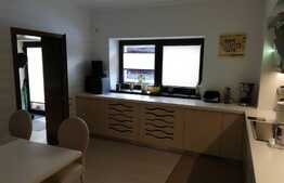 Casa deosebita, 535 mp, 1545 mp teren, in Cristian