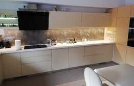 Casa deosebita, 535 mp, 1545 mp teren, in Cristian