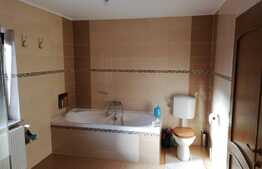 Casa deosebita, 535 mp, 1545 mp teren, in Cristian