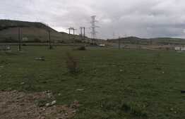 Teren Intravilan pentru constructii hale 7186 mp, zona centurii Emerson