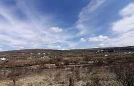 Teren extravilan, 1000 mp, Valea Chintaului