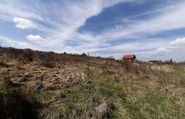 Teren extravilan, 1000 mp, Valea Chintaului