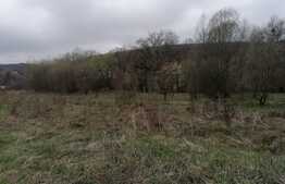 Oportunitate! Teren 927 mp, 21 ml front, utilitati, Manastur