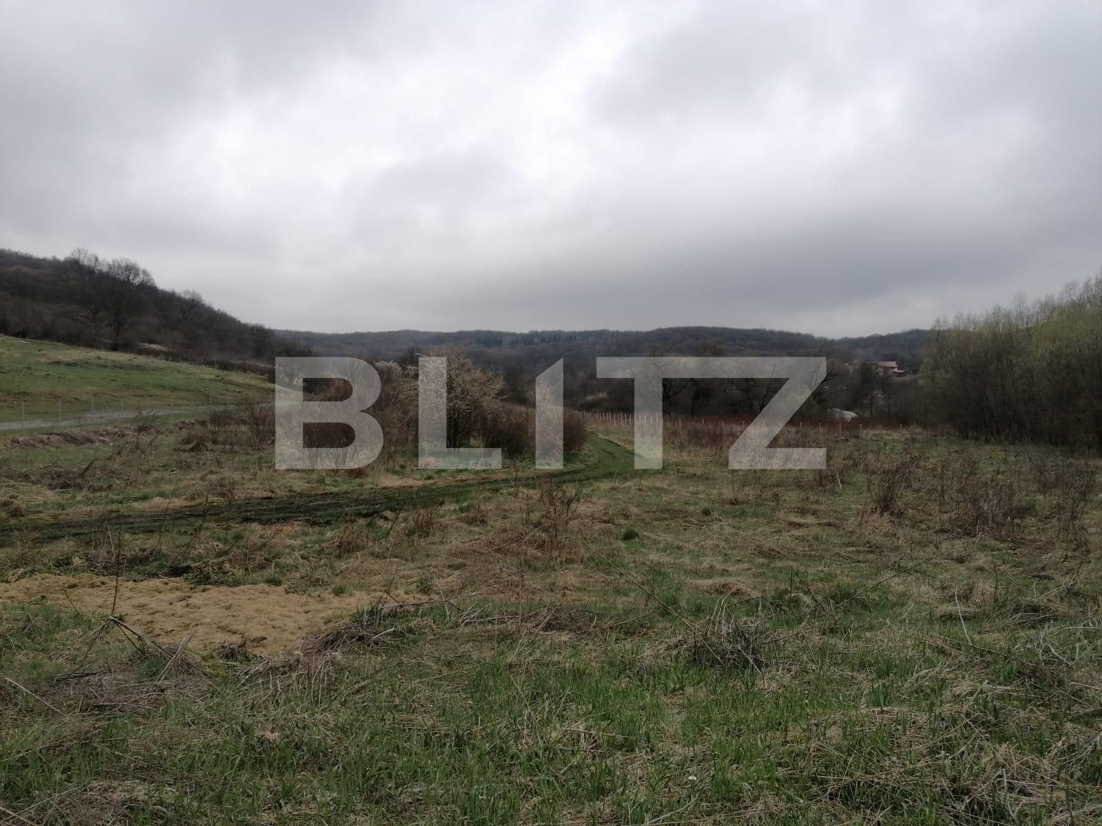 Teren de vânzare Manastur - 64085TV | BLITZ Cluj-Napoca | Poza2