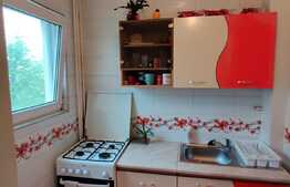 INVESTITIE! Garsoniera cocheta, 28 mp cu balcon, etaj intermediar, zona Expo Transilvania