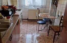 Apartament de 2 camere, 65 mp, mobilat, utilat, Zizinului!