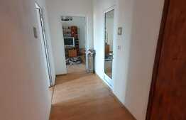 Apartament de 2 camere, 65 mp, mobilat, utilat, Zizinului!