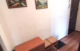 Apartament de 2 camere, 48mp, mobilat, utilat, ASTRA!