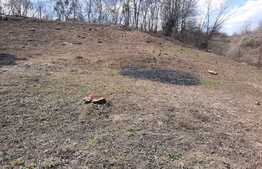 Teren intravilan 1209 mp, front 25 mp, panorama