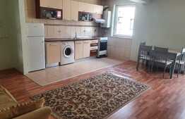 Investitie sigura! Apartament 2 camere, etaj 1! Zona strazii Ioan Rus!