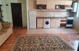 Investitie sigura! Apartament 2 camere, etaj 1! Zona strazii Ioan Rus!