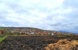 Teren intravilan 7600mp,situat in Chinteni ,in zona centrala