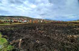 Teren intravilan 7600mp,situat in Chinteni ,in zona centrala