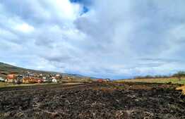 Teren intravilan 7600mp,situat in Chinteni ,in zona centrala