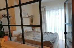 Apartament cu 1 camera Taietura Turcului intr-o cladire selecta