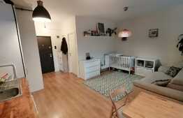 Apartament cu 1 camera Taietura Turcului intr-o cladire selecta