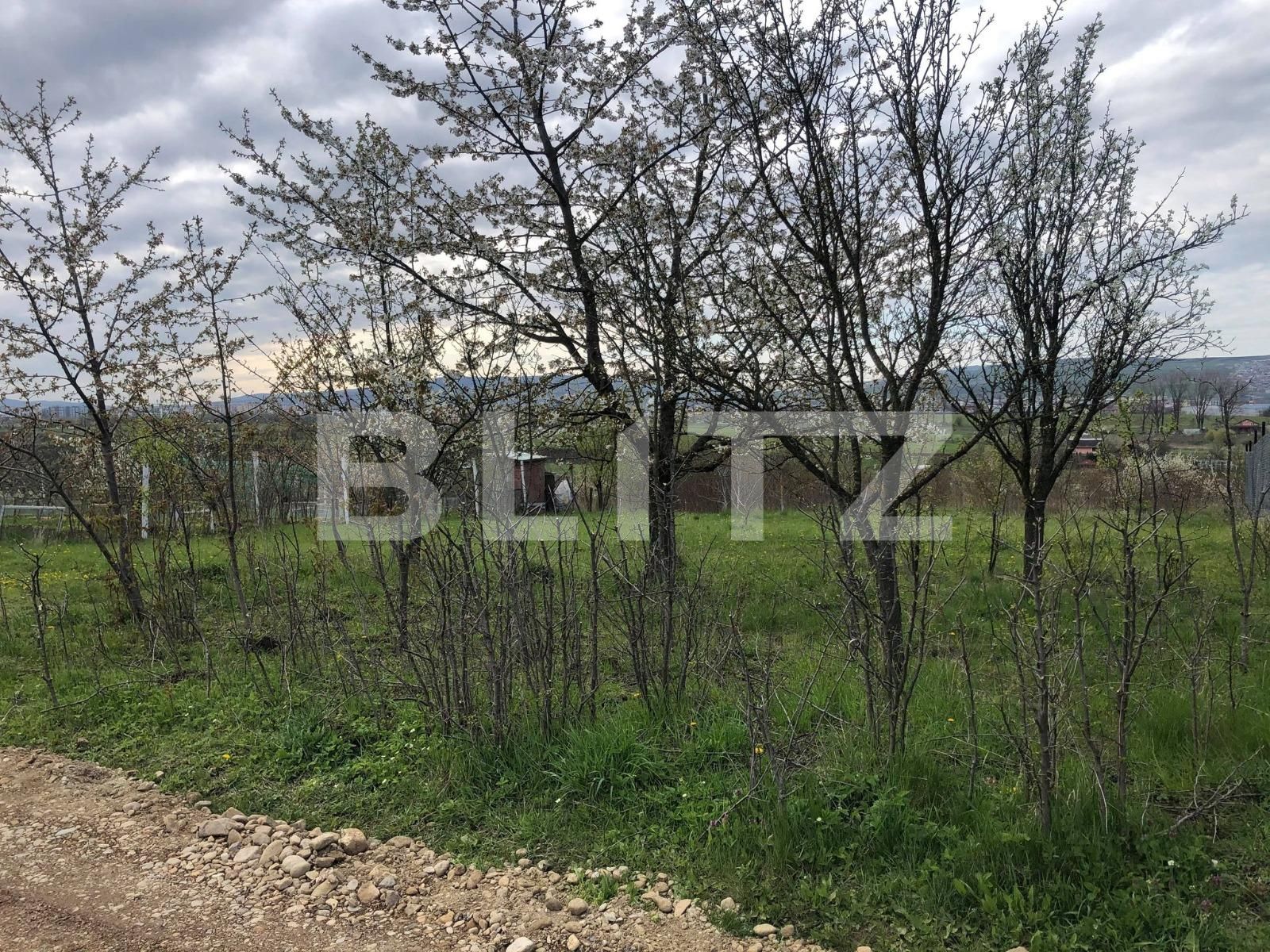 Teren de vânzare Sopor - 64158TV | BLITZ Cluj-Napoca | Poza3