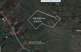Exclusivitate! Teren extravilan, 4.5 ha, FANATE