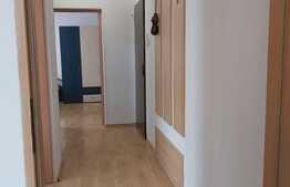 Apartament 2 camere, 50 mp, pet friendly, parcare, zona Casa Piratilor