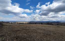 Teren cabana , 2000 mp , 2 km de partia ski , Marisel !