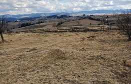 Teren cabana , 2000 mp , 2 km de partia ski , Marisel !