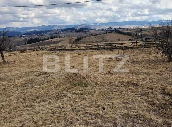 Teren de vânzare Exterior Vest - 64215TV | BLITZ Cluj-Napoca | Poza3