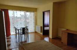 Apartament 2 camere, 50 mp, zona Piata Mihai Viteazul