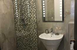 Apartament premium de inchiriat, zona Drumul Poienii