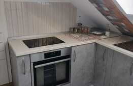 Apartament compus dintr-un duplex de 3 camere si o garsoniera