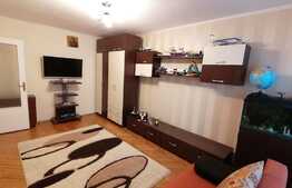 Apartament 3 camere, izolat exterior si interior in zona Ion Mester 