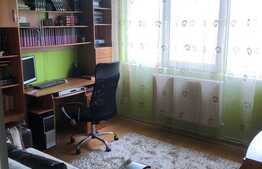 Apartament 3 camere, priveliste superba, luminos, etaj intermediar, zona Brancusi