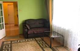 Apartament 3 camere, priveliste superba, luminos, etaj intermediar, zona Brancusi