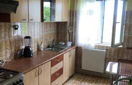 Apartament 3 camere, priveliste superba, luminos, etaj intermediar, zona Brancusi