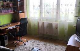 Apartament 3 camere, priveliste superba, luminos, etaj intermediar, zona Brancusi