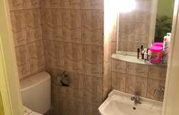 Apartament 3 camere, priveliste superba, luminos, etaj intermediar, zona Brancusi