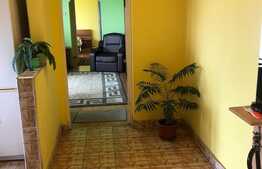 Apartament 3 camere, priveliste superba, luminos, etaj intermediar, zona Brancusi