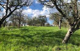 Teren 13.538mp in Feleac, zona partiei, panorama deosebita