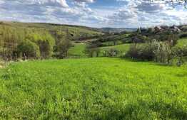 Teren 13.538mp in Feleac, zona partiei, panorama deosebita