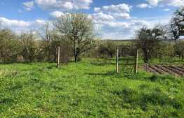 Teren 13.538mp in Feleac, zona partiei, panorama deosebita