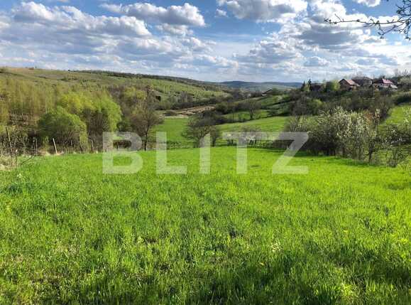 Teren de vânzare Exterior Sud - 64298TV | BLITZ Cluj-Napoca | Poza1