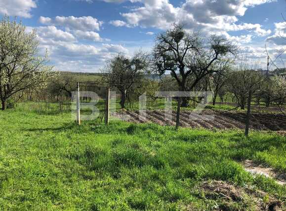 Teren de vânzare Exterior Sud - 64298TV | BLITZ Cluj-Napoca | Poza5