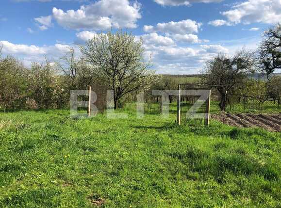 Teren de vânzare Exterior Sud - 64298TV | BLITZ Cluj-Napoca | Poza4